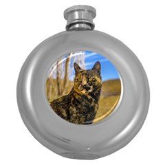 Adult Wild Cat Sitting And Watching Round Hip Flask (5 Oz) by dflcprints