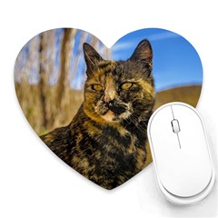 Adult Wild Cat Sitting And Watching Heart Mousepads by dflcprints