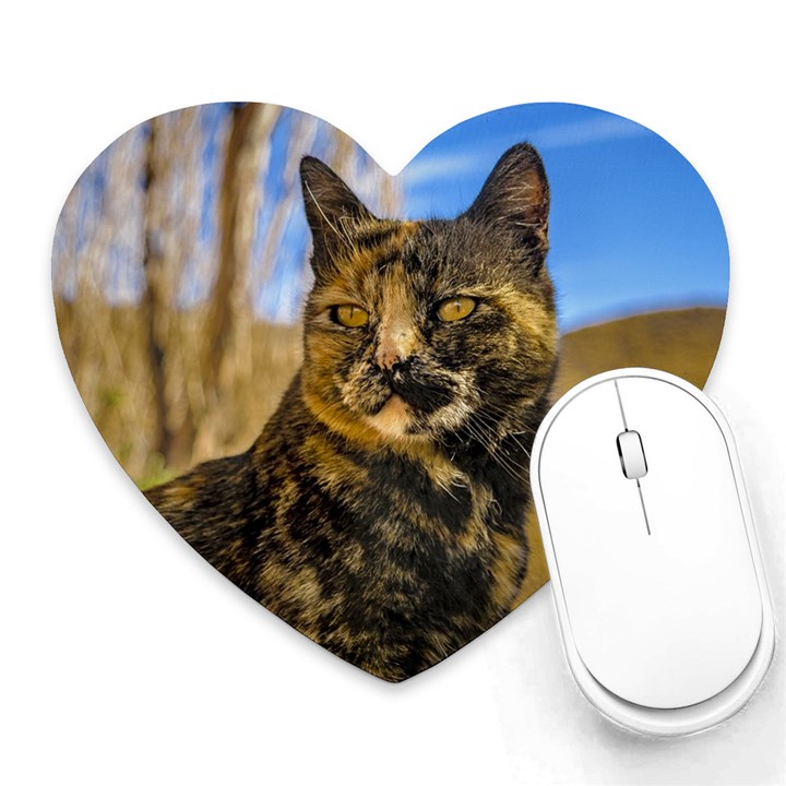 Adult Wild Cat Sitting and Watching Heart Mousepads