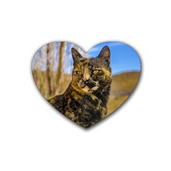 Adult Wild Cat Sitting And Watching Rubber Coaster (heart)  by dflcprints