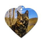 Adult Wild Cat Sitting and Watching Dog Tag Heart (Two Sides) Front