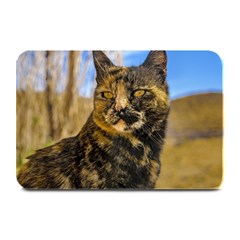 Adult Wild Cat Sitting And Watching Plate Mats by dflcprints