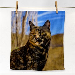 Adult Wild Cat Sitting And Watching Face Towel by dflcprints