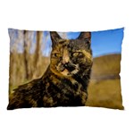 Adult Wild Cat Sitting and Watching Pillow Case 26.62 x18.9  Pillow Case