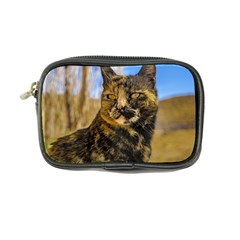 Adult Wild Cat Sitting And Watching Coin Purse by dflcprints