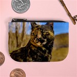 Adult Wild Cat Sitting and Watching Mini Coin Purses Front