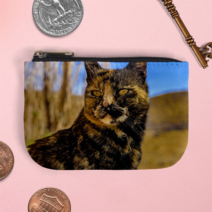 Adult Wild Cat Sitting and Watching Mini Coin Purses