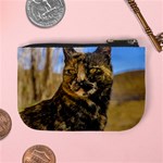 Adult Wild Cat Sitting and Watching Mini Coin Purses Back