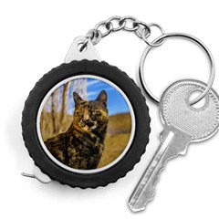 Adult Wild Cat Sitting And Watching Measuring Tapes by dflcprints