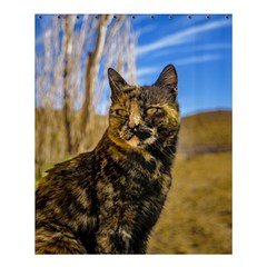 Adult Wild Cat Sitting And Watching Shower Curtain 60  X 72  (medium)  by dflcprints