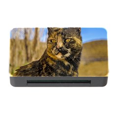 Adult Wild Cat Sitting And Watching Memory Card Reader With Cf by dflcprints