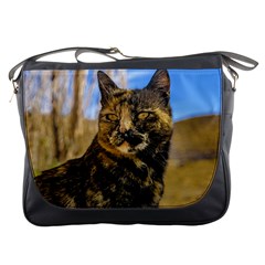 Adult Wild Cat Sitting And Watching Messenger Bags by dflcprints