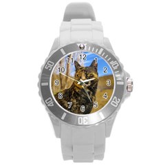 Adult Wild Cat Sitting And Watching Round Plastic Sport Watch (l) by dflcprints