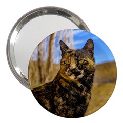 Adult Wild Cat Sitting And Watching 3  Handbag Mirrors by dflcprints