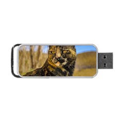 Adult Wild Cat Sitting And Watching Portable Usb Flash (two Sides) by dflcprints