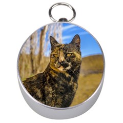 Adult Wild Cat Sitting And Watching Silver Compasses by dflcprints