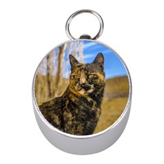 Adult Wild Cat Sitting And Watching Mini Silver Compasses by dflcprints