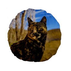 Adult Wild Cat Sitting And Watching Standard 15  Premium Flano Round Cushions by dflcprints