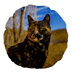 Adult Wild Cat Sitting And Watching Large 18  Premium Flano Round Cushions by dflcprints