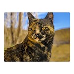 Adult Wild Cat Sitting and Watching Double Sided Flano Blanket (Mini)  35 x27  Blanket Back