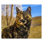 Adult Wild Cat Sitting and Watching Double Sided Flano Blanket (Small)  50 x40  Blanket Back