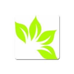 Leaf Green White Square Magnet by Mariart