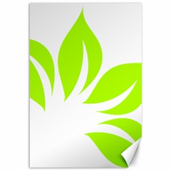 Leaf Green White Canvas 12  X 18   by Mariart