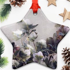 Watercolour Ornament (star) by DeneWestUK