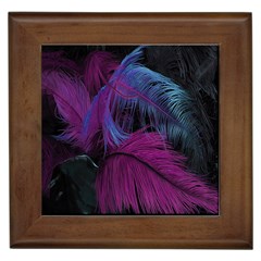 Feathers Quill Pink Black Blue Framed Tiles