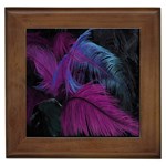 Feathers Quill Pink Black Blue Framed Tiles Front