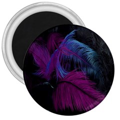 Feathers Quill Pink Black Blue 3  Magnets