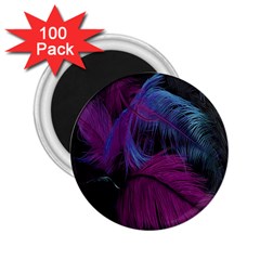 Feathers Quill Pink Black Blue 2 25  Magnets (100 Pack) 