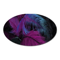 Feathers Quill Pink Black Blue Oval Magnet by Mariart