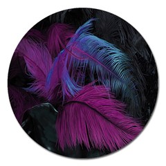 Feathers Quill Pink Black Blue Magnet 5  (round) by Mariart