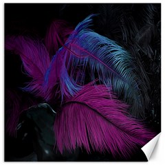 Feathers Quill Pink Black Blue Canvas 16  X 16   by Mariart