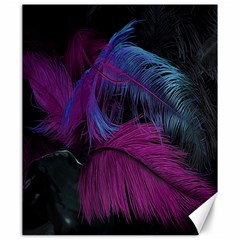 Feathers Quill Pink Black Blue Canvas 20  X 24   by Mariart