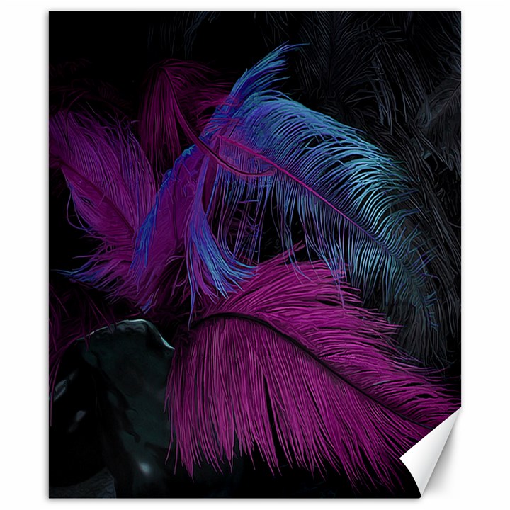 Feathers Quill Pink Black Blue Canvas 20  x 24  