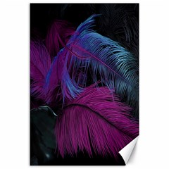 Feathers Quill Pink Black Blue Canvas 24  X 36  by Mariart