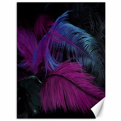 Feathers Quill Pink Black Blue Canvas 36  X 48   by Mariart