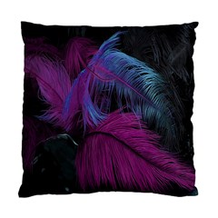 Feathers Quill Pink Black Blue Standard Cushion Case (one Side) by Mariart