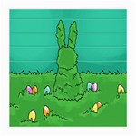 Rabbit Easter Green Blue Egg Medium Glasses Cloth (2-Side) Back