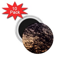 Arizona Sunset 1 75  Magnets (10 Pack) 