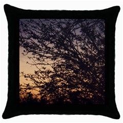 Arizona Sunset Throw Pillow Case (black) by JellyMooseBear