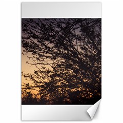 Arizona Sunset Canvas 20  X 30   by JellyMooseBear