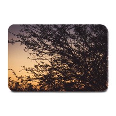 Arizona Sunset Plate Mats