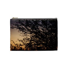 Arizona Sunset Cosmetic Bag (medium)  by JellyMooseBear