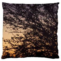 Arizona Sunset Large Cushion Case (two Sides) by JellyMooseBear