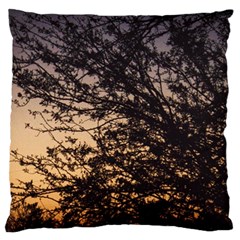 Arizona Sunset Standard Flano Cushion Case (one Side) by JellyMooseBear