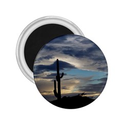 Cactus Sunset 2 25  Magnets