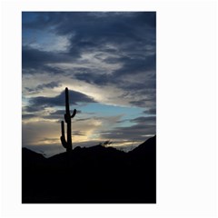 Cactus Sunset Large Garden Flag (two Sides)